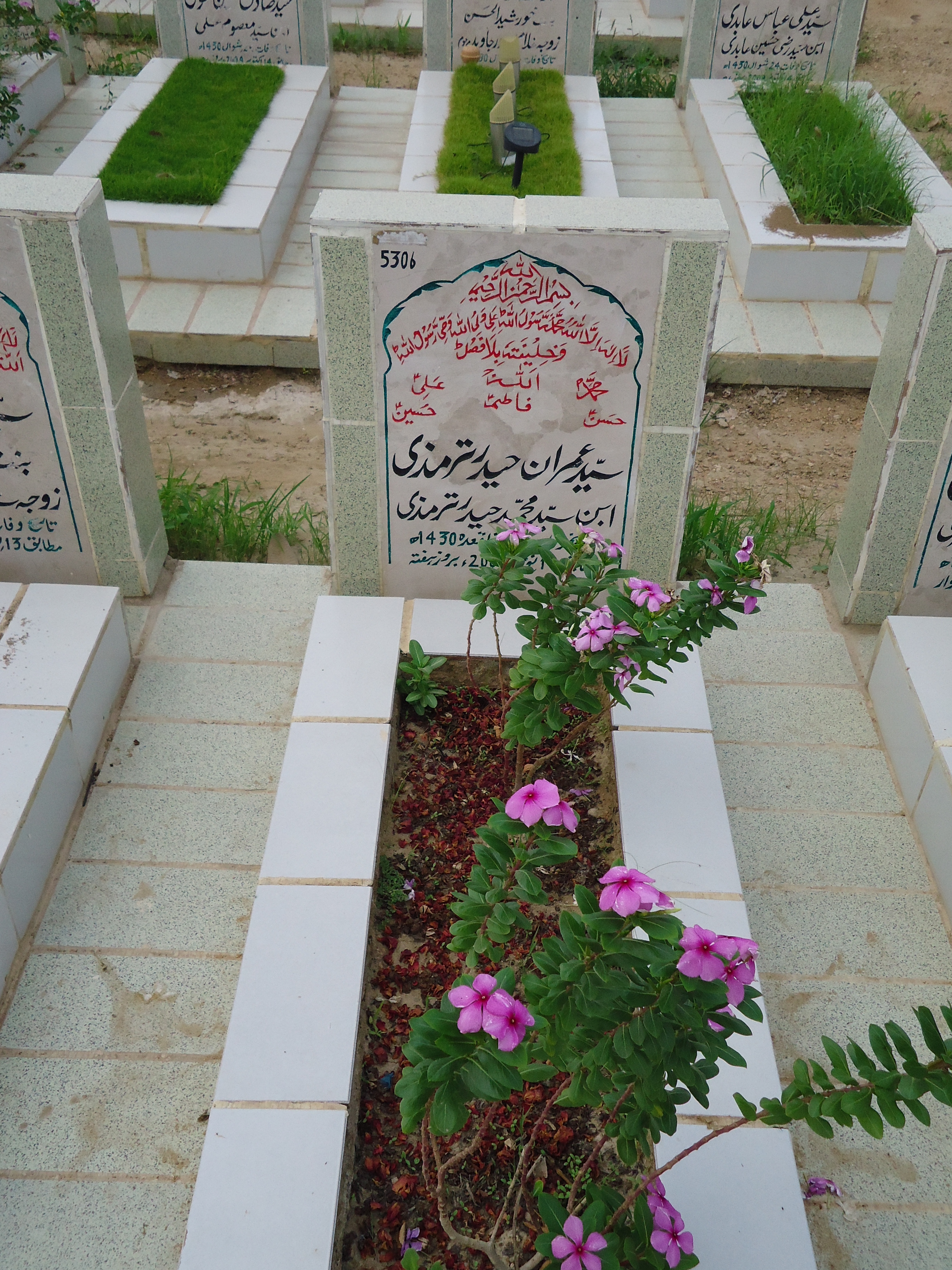 5306 – Syed imran haider